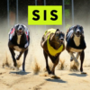 Enhancing the UK Greyhound Racing Experience: SIS and Premier Greyhound Racing Announce Updated Schedule